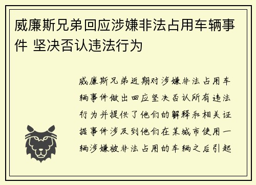 威廉斯兄弟回应涉嫌非法占用车辆事件 坚决否认违法行为